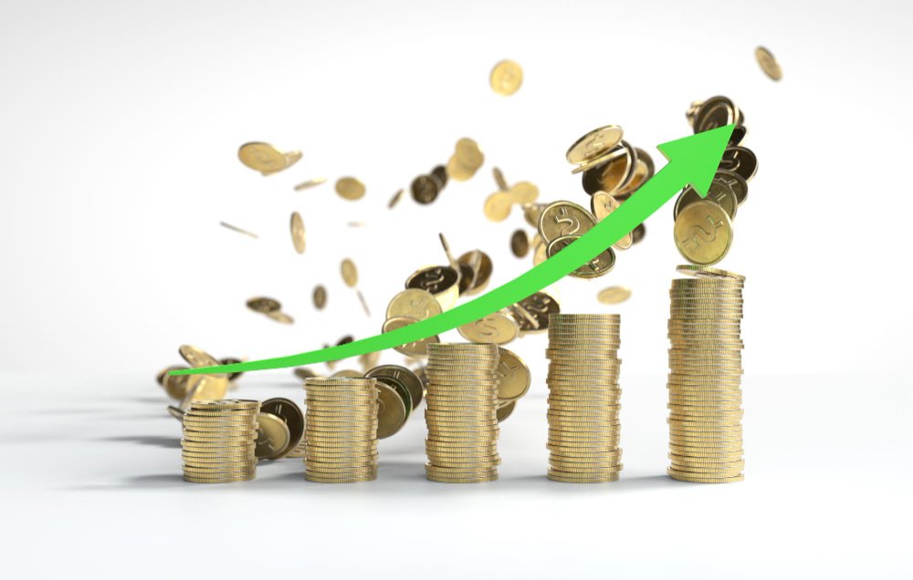 Financial Survival & Growth